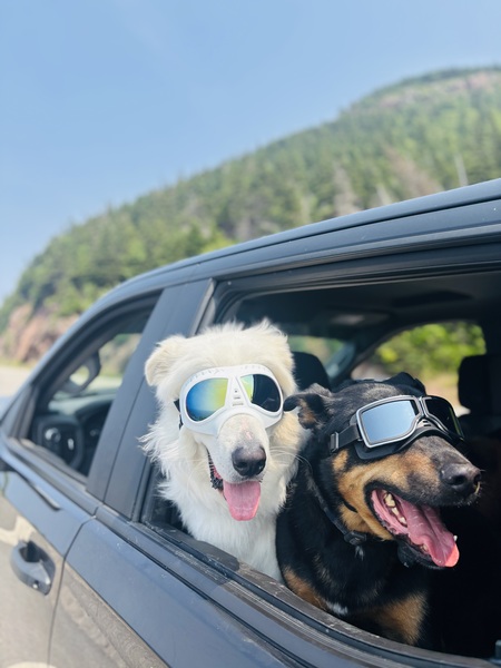 Entry image for Archibald/Paxton. Clicking this image will show a larger photo