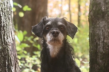 Entry image for Sayna. Clicking this image will show a larger photo