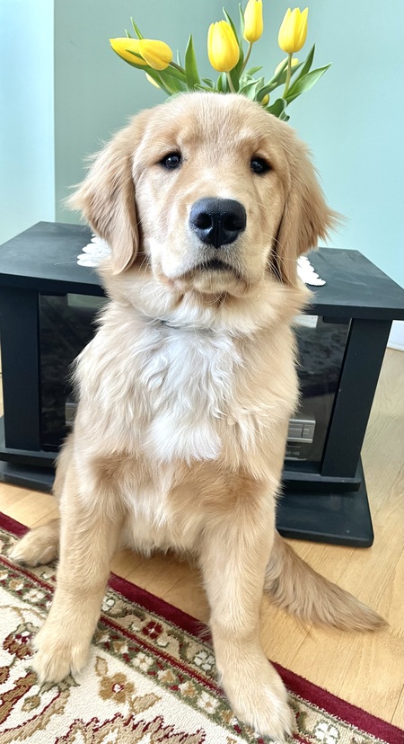 Entry image for Jennie . Clicking this image will show a larger photo