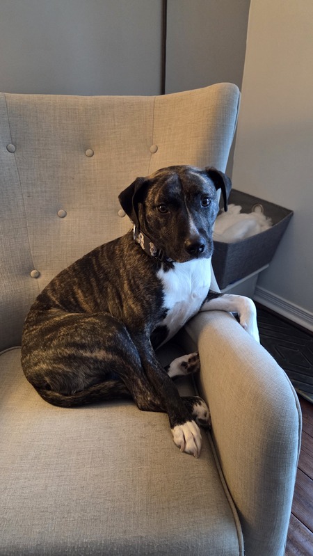 Entry image for Bimini. Clicking this image will show a larger photo