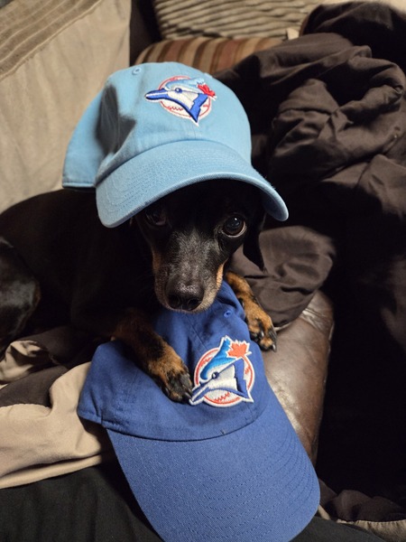 Entry image for Spencer. Clicking this image will show a larger photo