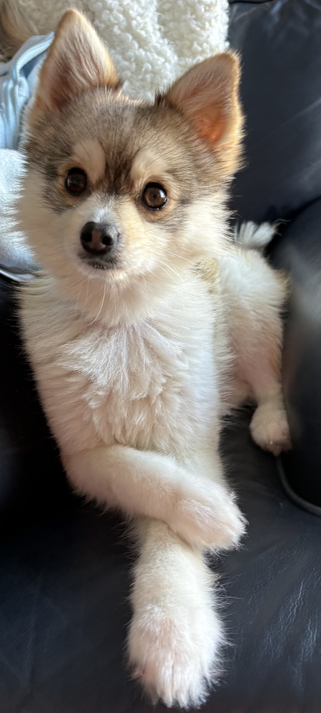 Entry image for kyo. Clicking this image will show a larger photo