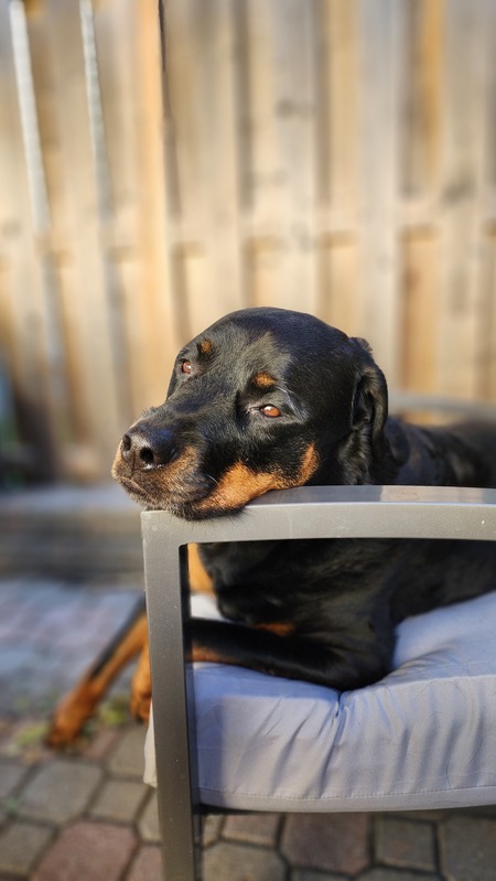 Entry image for Halo. Clicking this image will show a larger photo