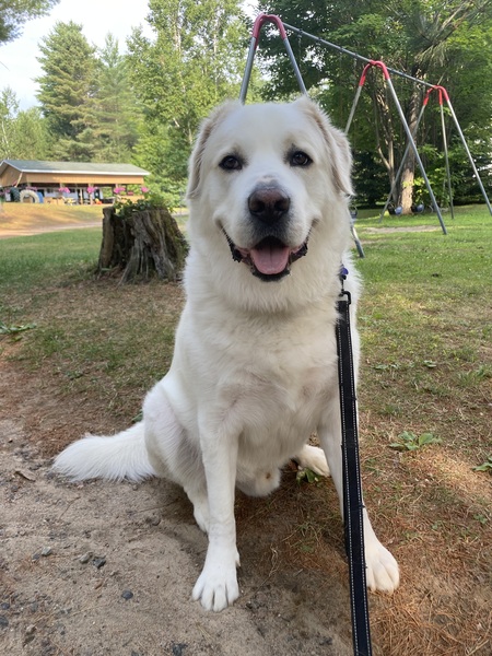 Entry image for Obi Wan Kenobi . Clicking this image will show a larger photo