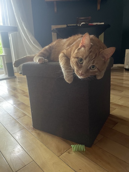 Entry image for Ashton. Clicking this image will show a larger photo