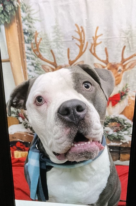 Entry image for Kylee. Clicking this image will show a larger photo