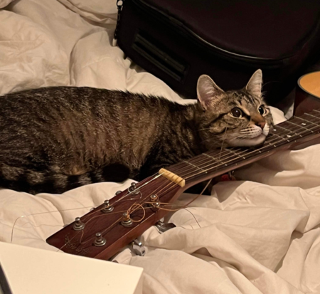 Entry image for Alice. Clicking this image will show a larger photo