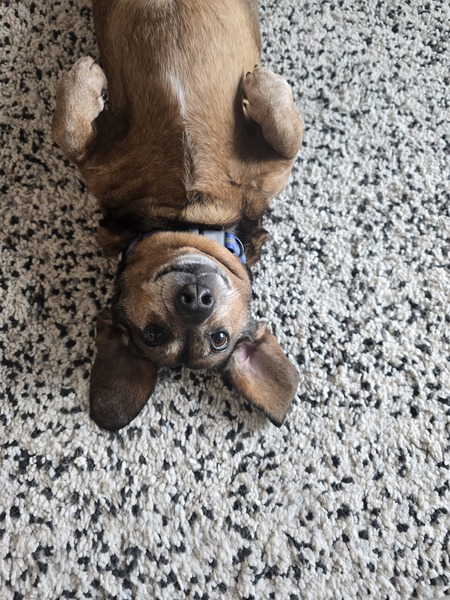 Entry image for Wayne. Clicking this image will show a larger photo