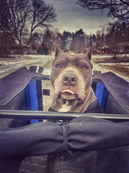 Entry image for Olivia . Clicking this image will show a larger photo