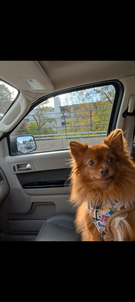 Entry image for Elliot . Clicking this image will show a larger photo