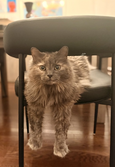 Entry image for Tara. Clicking this image will show a larger photo