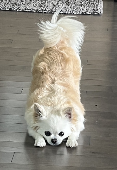 Entry image for Jodi. Clicking this image will show a larger photo