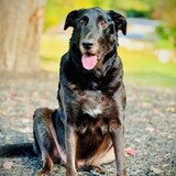 Entry image for Dillon Allen