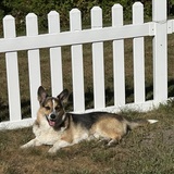 Entry image for Tucker