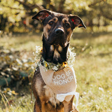 Entry image for Hazel