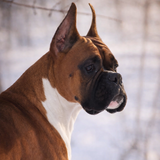 Entry image for Ezzie