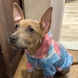 Entry image for Ruby