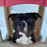 Entry image for Jack