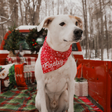 Entry image for Finnley