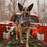 Entry image for Maverick