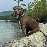 Entry image for Judy