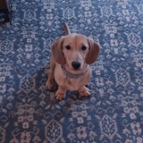 Entry image for Kevin