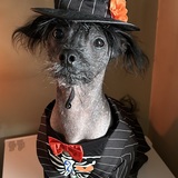 Entry image for Dougie Jones 