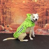 Entry image for Bergy