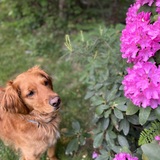 Entry image for Trooper 