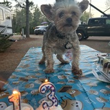 Entry image for Gunner