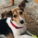 Entry image for Fiona