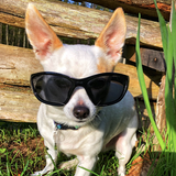 Entry image for Wilson 