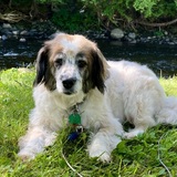 Entry image for Lexi