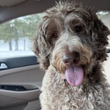 Entry image for Ruby 