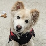 Entry image for Chloe