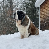 Entry image for Breezewood