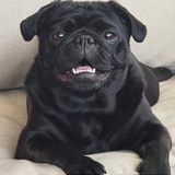 Entry image for Mable