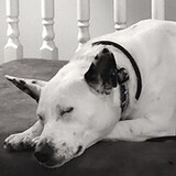 Entry image for Ella