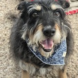 Entry image for Dayna