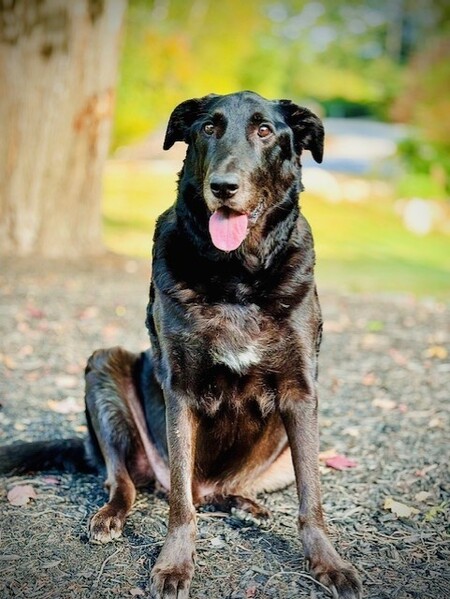 Entry image for Dillon Allen. Clicking this image will show a larger photo