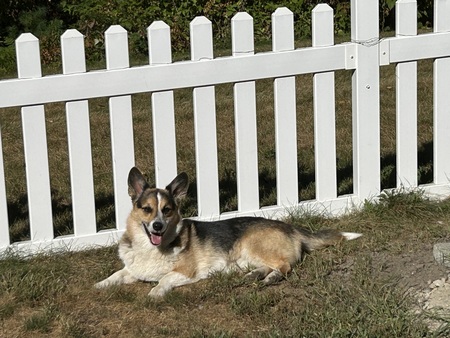 Entry image for Tucker. Clicking this image will show a larger photo