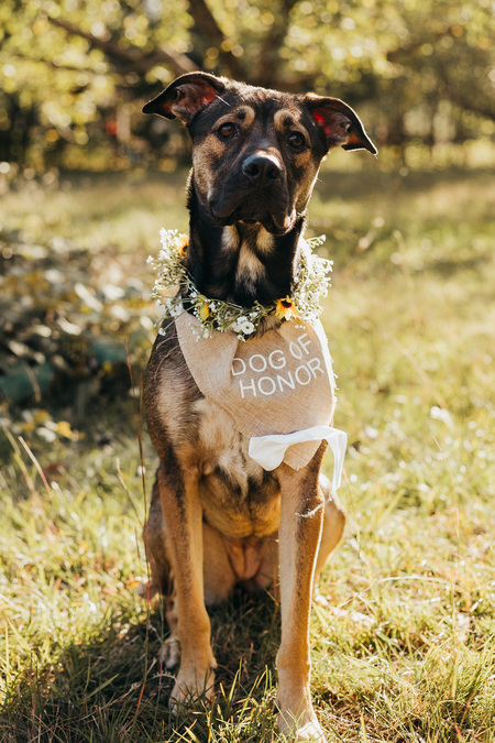 Entry image for Hazel. Clicking this image will show a larger photo