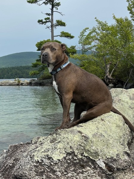 Entry image for Judy. Clicking this image will show a larger photo