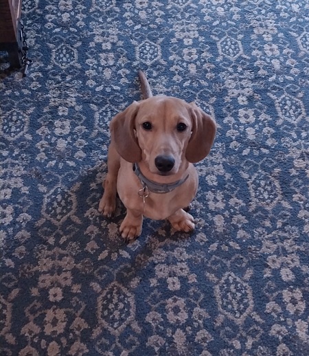 Entry image for Kevin. Clicking this image will show a larger photo