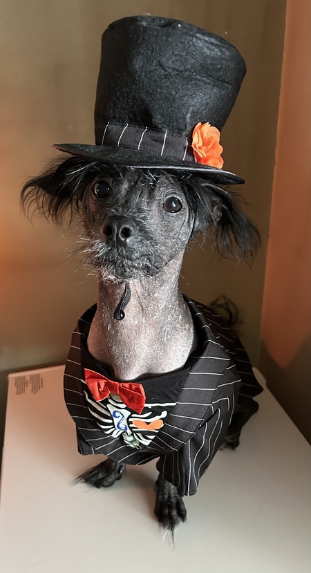 Entry image for Dougie Jones . Clicking this image will show a larger photo