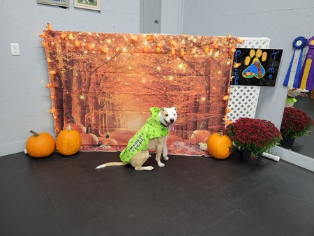 Entry image for Bergy. Clicking this image will show a larger photo