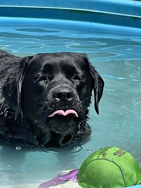 Entry image for Mason. Clicking this image will show a larger photo