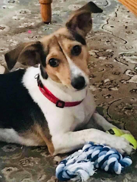 Entry image for Fiona. Clicking this image will show a larger photo