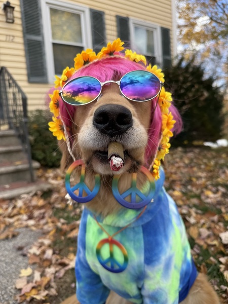 Entry image for Eleanor. Clicking this image will show a larger photo