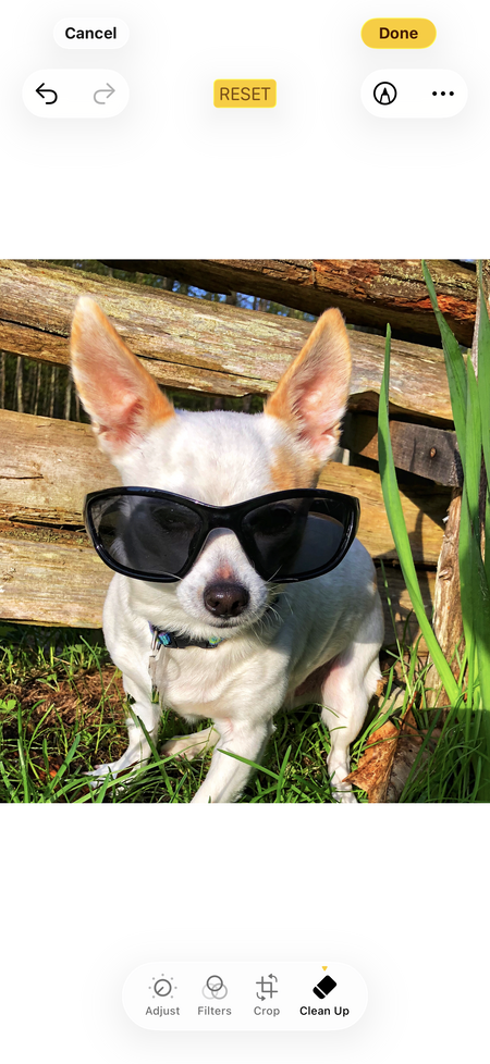 Entry image for Wilson . Clicking this image will show a larger photo